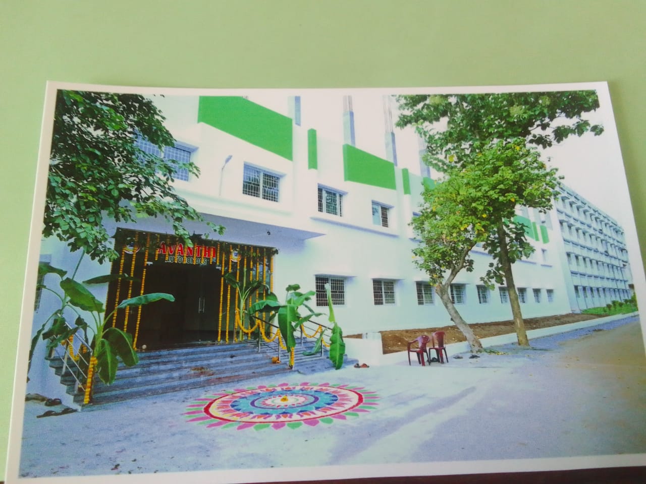 Image 4